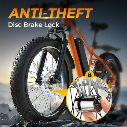Motorcycle and Bicycle Disc Lock – product image