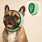🐶 Dog Calming Ear Wrap for Noisy Moments🌩️ A Soft-Fitting Ear Cover for Your Dog’s Comfort🛁 Keep Your Dog’s Ears Covered During Grooming & Bath Time