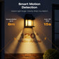 Solar Motion-Sensor Wall Light – product image