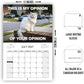 🐾 2027 Wall Calendar Collection Funny, Quirky & Seriously Cute — Find Your Perfect Calendar for 2027