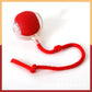 🐾 Smart Automatic Rolling Pet Ball