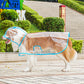 Clear Dog Raincoat – product image