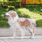 Clear Dog Raincoat – product image