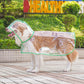Clear Dog Raincoat – product image