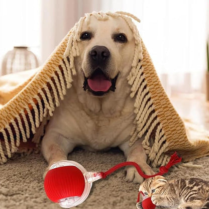 🐾 Smart Automatic Rolling Pet Ball