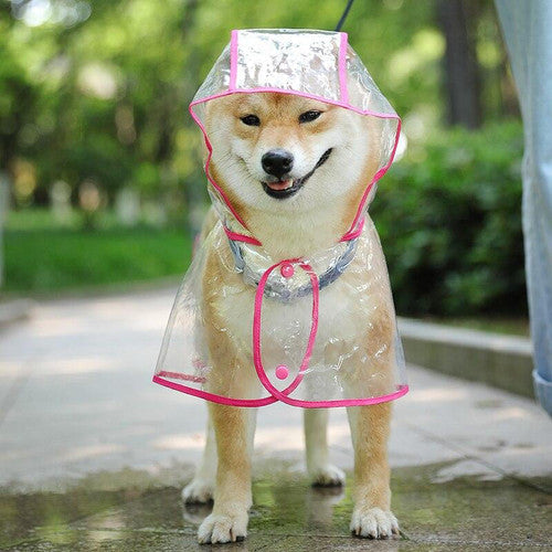 Clear Dog Raincoat – product image