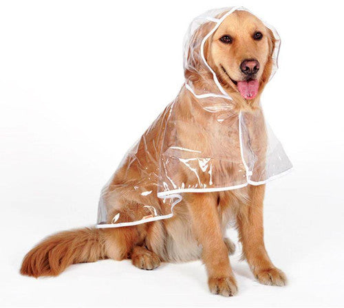 Clear Dog Raincoat – product image