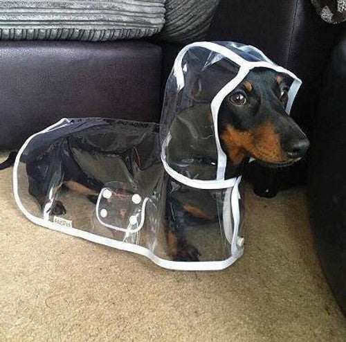 Clear Dog Raincoat – product image