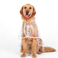 Clear Dog Raincoat – product image