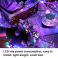 🎅 Christmas Early Bird Offer – 50 per cent off 🎁💡 Festive window display lights