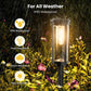 🏡 Solar Lighting for Walkways, Gardens and Driveways