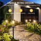 🏡 Solar Lighting for Walkways, Gardens and Driveways