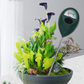 Professional Soil Moisture Meter for Indoor & Outdoor Plants🌱💦