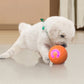 🎾 Rechargeable Self-Moving Dog Ball with Colorful LED Lights