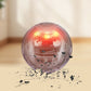 🎾 Rechargeable Self-Moving Dog Ball with Colorful LED Lights