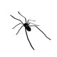 🎉🕷️ Realistic Spider Magnets – Trick or Treat Your Fridge, Garage & Car — Halloween Fun All Year! 🏠