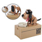 🐶 Interactive Dog Piggy Bank That Playfully “Eats” Coins