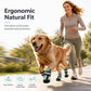 Breathable Mesh Dog Shoes with Reflective Details