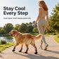 Breathable Mesh Dog Shoes with Reflective Details