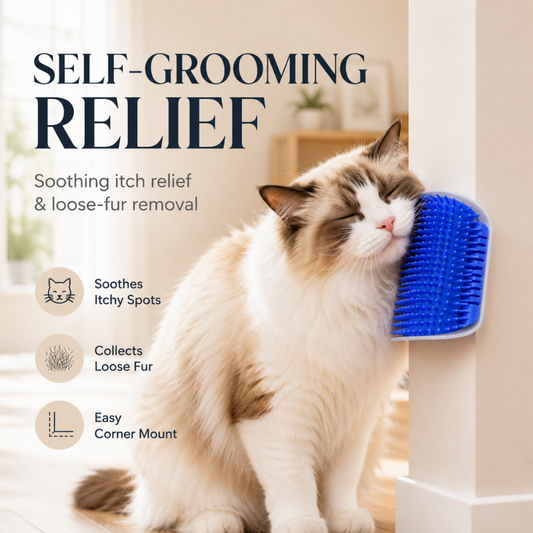 🐾 Cat Self-Grooming Brush with Catnip