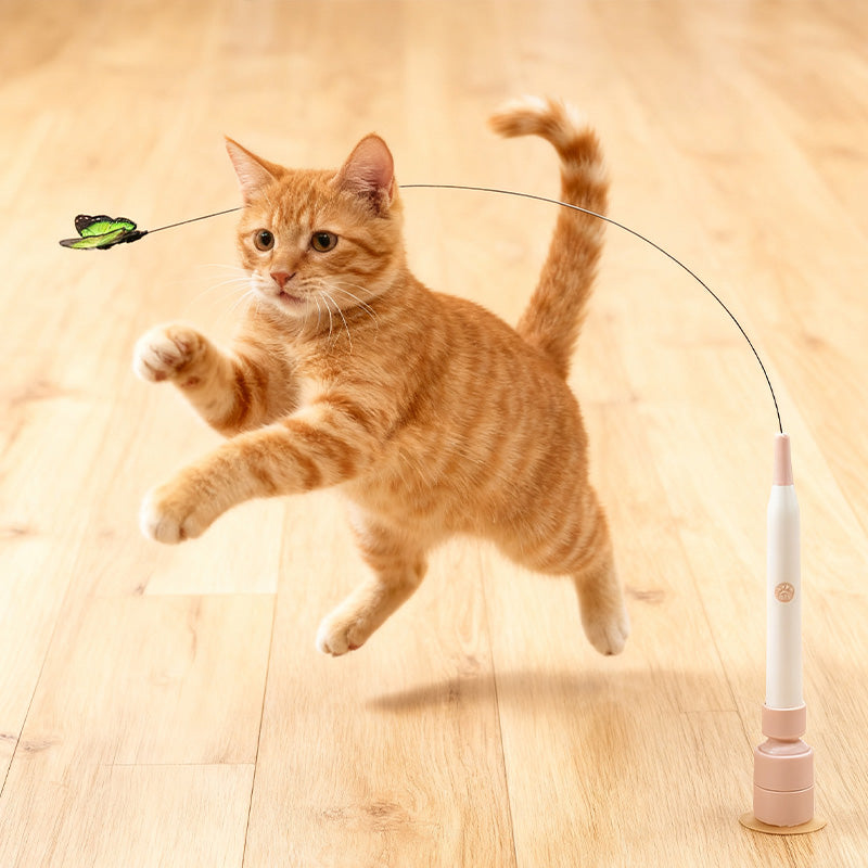 Interactive Suction-Cup Cat Wand – product image