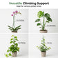 🌱 Connectable Plant Stakes for Pots, Patios & Gardens