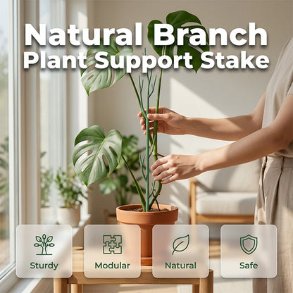 🌱 Connectable Plant Stakes for Pots, Patios & Gardens