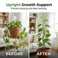 🌱 Connectable Plant Stakes for Pots, Patios & Gardens