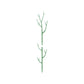 🌱 Connectable Plant Stakes for Pots, Patios & Gardens