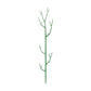 🌱 Connectable Plant Stakes for Pots, Patios & Gardens