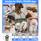 Water-Resistant Pet Paw Protectors – 2026 Bestseller 🐾