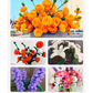Fuzzy Chenille Stems for Kids' DIY Crafts