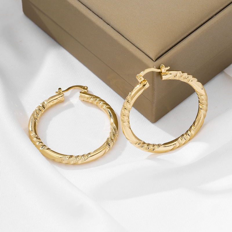 Elegant Twisted Hoop Earrings – product image