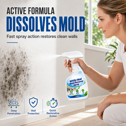 Wall Mold Stain Remover Spray – product image