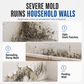 Wall Mold Stain Remover Spray – product image