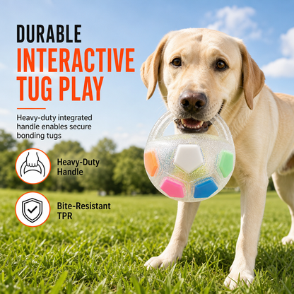 Interactive Dog Soccer Ball with Grab Tabs – product image