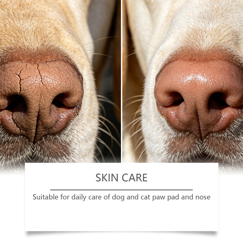 Roll-On Paw and Nose Moisturizing Lotion – product image