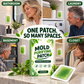Adhesive Mold Care Patches – product image
